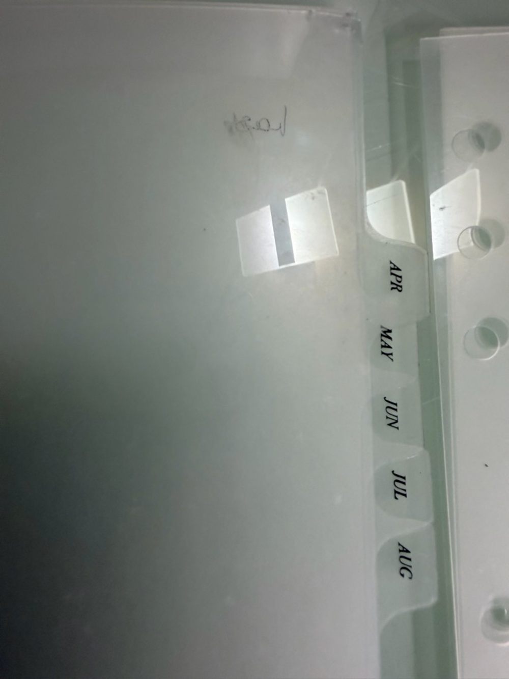 Cloth & Paper Clear Monthly Tabs - Frosted - Picture 3 of 4